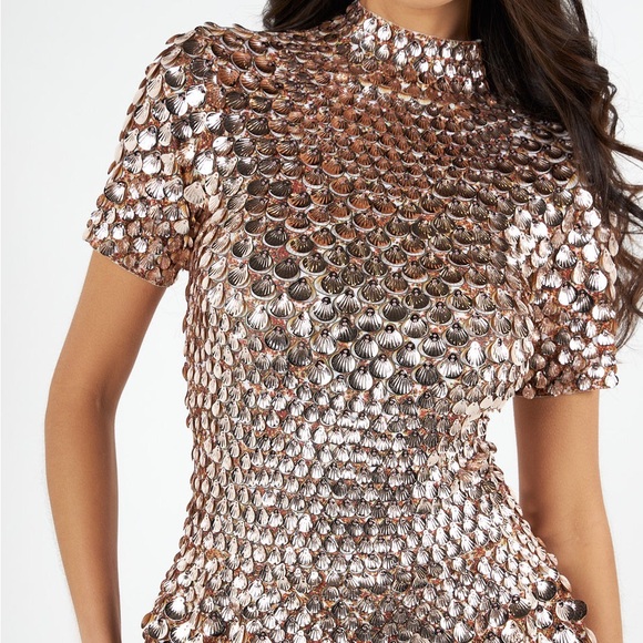 The Party Edition Nala Dress Rose Gold - Picture 2 of 8